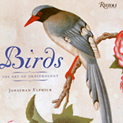 The Fat Finch Boutique for Bird Lovers | Birds, the Art of Ornithology