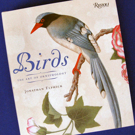 Birds-The Art of Ornithology | Bird Book from the Fat Finch
