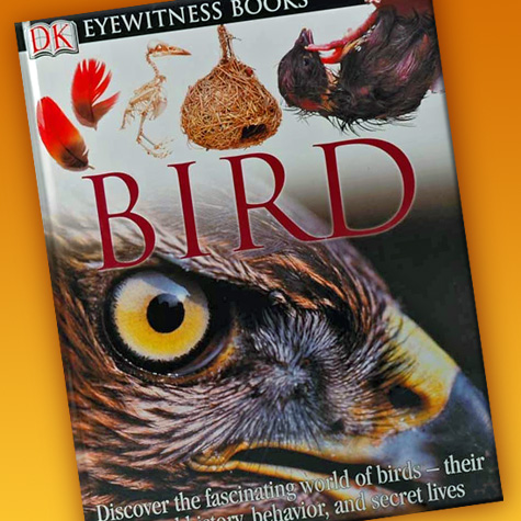 Bird Books - Eyewitness Books - Bird book from the Fat Finch