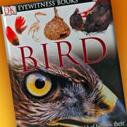 The Fat Finch Boutique for Bird Lovers | Eyewitness Birds Bird Discovery Book