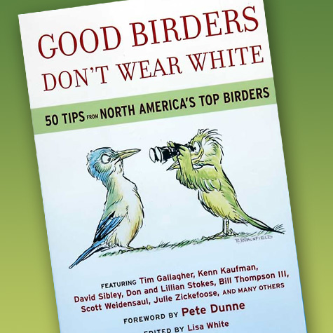 Good Birders Don't Wear White | Bird Book from the Fat Finch
