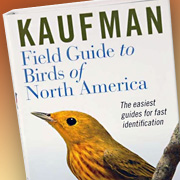 The Fat Finch | Bird Books | Kaufman Field Guide