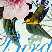 The Fat Finch Boutique for Bird Lovers | Little Big Book of Birds