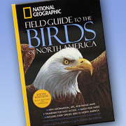 The Fat Finch | Bird Books | National Geographic Field Guide