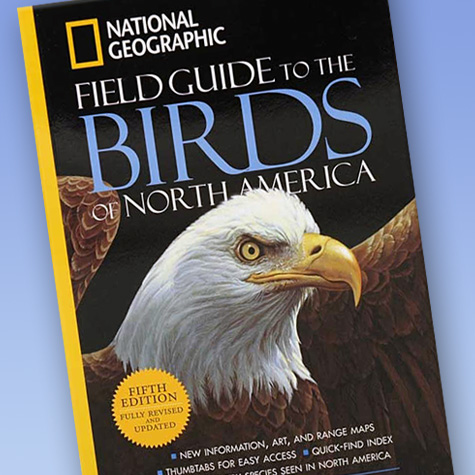 Bird Books - National Geographic Field Guide from The Fat Finch