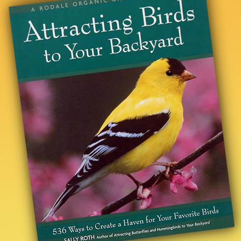 Attracting Birds to Your Back Yard | Bird Book from the Fat Finch