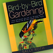 The Fat Finch Boutique for Bird Lovers | Bird by Bird Gardening