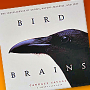 The Fat Finch Boutique for Bird Lovers | Bird Brains by Candace Savage