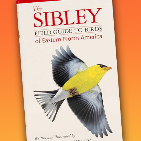Bird Books - Sibley Field Guide to Birds of Eastern North America from the Fat Finch