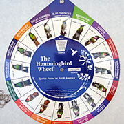 The Fat Finch | Hummingbird Wheel