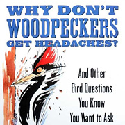 The Fat Finch Boutique for Bird Lovers | Why Don't Woodpeckers Get Headaches Bird Book