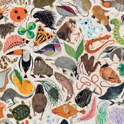 Charley Harper Tree of LIfe Sticker Book from The Fat Finch Boutique for Bird Lovers
