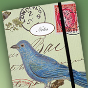 The Fat Finch Boutique for Bird Lovers | Cavallini and Company Bird Journal 