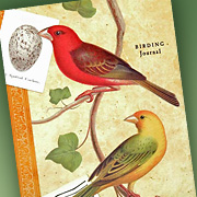 The Fat Finch Boutique for Bird Lovers | Cavallini and Company Bird Journal 