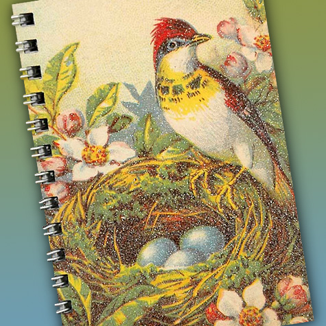 The Fat Finch Boutique for Bird Lovers | Bird Journals, Notebooks and Sketchbooks 