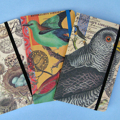 The Fat Finch Boutique for Bird Lovers | Bird Journals, Notebooks and Sketchbooks 