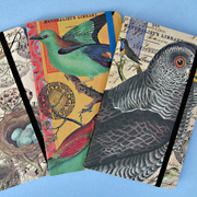 The Fat Finch Boutique for Bird Lovers | Vintage Bird Print Pocket Journals 