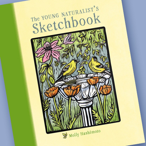 The Young Naturalist’s Sketchbook by Molly Hashimoto from The Fat Finch Boutique for Bird Lovers | Bird Journals, Notebooks and Sketchbooks 