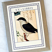 The Fat Finch Boutique for Bird Lovers | Cavallini and Company Bird Bookplates 