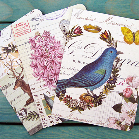 The Fat Finch Boutique for Bird Lovers | Bird Journals, Notebooks and Sketchbooks 