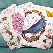 The Fat Finch Boutique for Bird Lovers | Cavallini and Company Bird Journal 