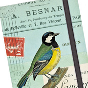 The Fat Finch | Bird Journals for Bird Lovers