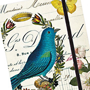 The Fat Finch Boutique for Bird Lovers | Cavallini and Company Bird Journal 