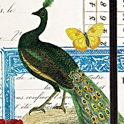 The Fat Finch Boutique for Bird Lovers | Cavallini and Company Peacock Bird Journal 