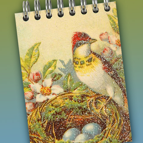 The Fat Finch Boutique for Bird Lovers | Bird Journals, Notebooks and Sketchbooks 