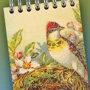 The Fat Finch Boutique for Bird Lovers | Little Glitter Bird Notebook 