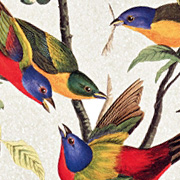 The Fat Finch Boutique for Bird Lovers | National Audubon Society Birder's Journal