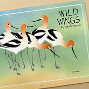 2016 Crane Creek Wall Calendar from the Fat Finch Boutique for Bird Lovers