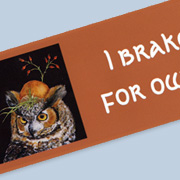 Owl Bumper Sticker | Fat Finch Boutique for Bird Lovers