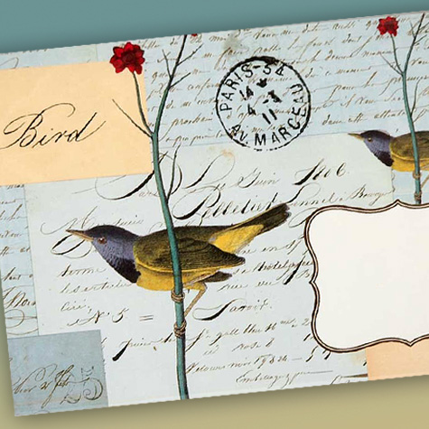 Vintage Style Mourning Ground Warbler Notecard Set from Cavallini & Co. | The Fat Finch Boutique for Bird Lovers