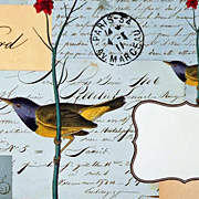 Bird Notecard | Fat Finch Boutique for Bird Lovers