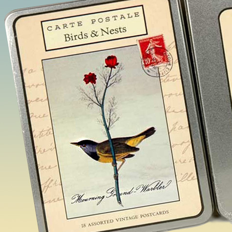 The Fat Finch Boutique for Bird Lovers | Vintage Style Birds and Nests Postcards Set from Cavallini & Co.