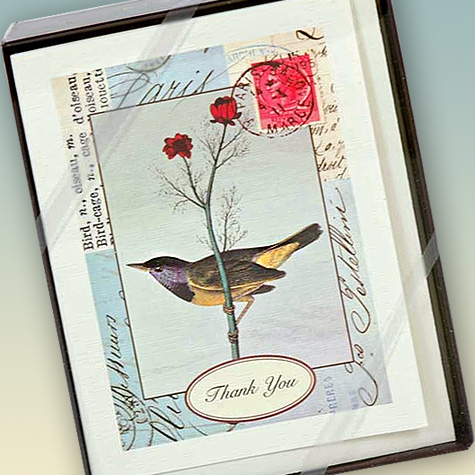 The Fat Finch Boutique for Bird Lovers | Vintage Style Bird Thank You Cards from Cavallini & Co.