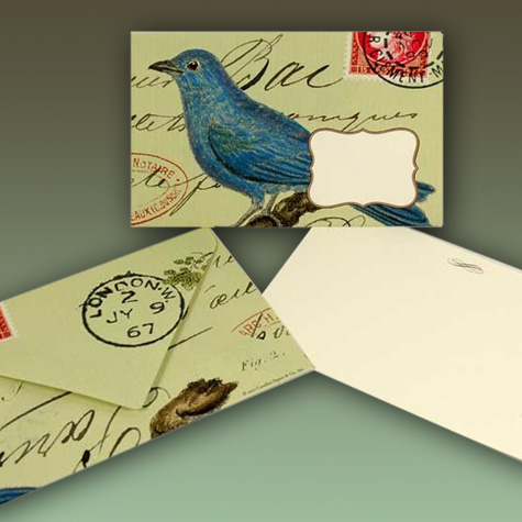 The Fat Finch Boutique for Bird Lovers | Vintage Style Bird Notecard Set from Cavallini & Co.