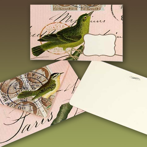 The Fat Finch Boutique for Bird Lovers | Vintage Style Bird Notecard Set from Cavallini & Co.