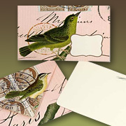 Bird Notecard | Fat Finch Boutique for Bird Lovers