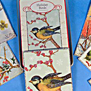 Bird Notecard | Fat Finch Boutique for Bird Lovers