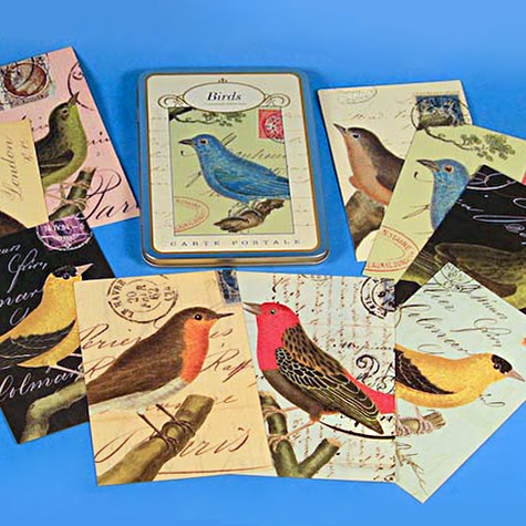 The Fat Finch Boutique for Bird Lovers | Vintage Style Birds Postcards Set from Cavallini & Co.