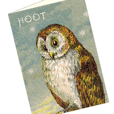 Vintage Style Owl Notecard Set from Cavallini & Co. | The Fat Finch Boutique for Bird Lovers