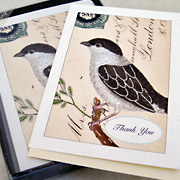 The Fat Finch | Notecards, Postcards and Card Sets