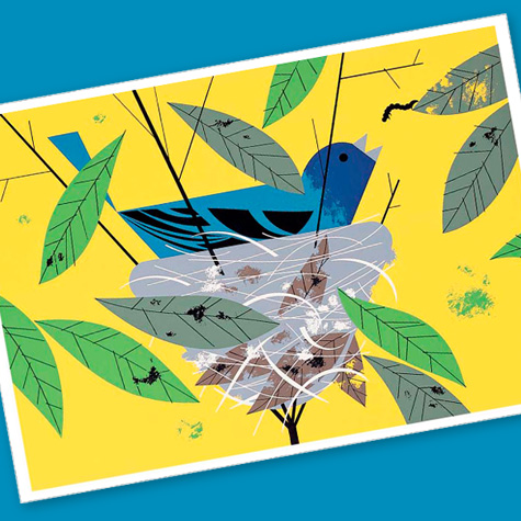The Fat Finch Boutique for Bird Lovers | Charley Harper Cards 