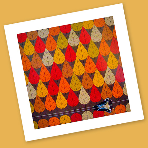 The Fat Finch Boutique for Bird Lovers | Charley Harper Cards 
