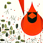 Christmas Card from The Fat Finch Boutique for Bird Lovers