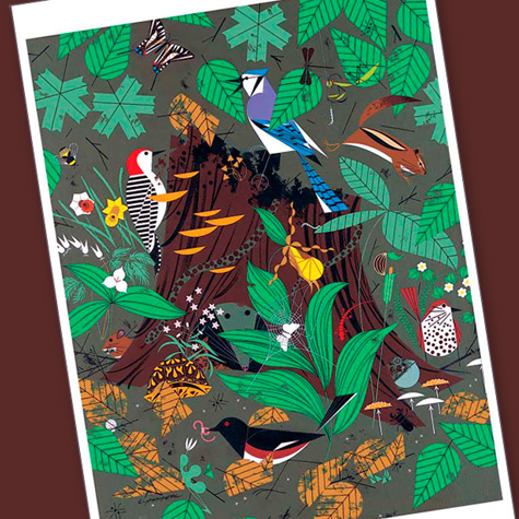 The Fat Finch Boutique for Bird Lovers | Charley Harper Cards 