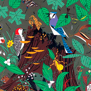 Bird Notecard | Fat Finch Boutique for Bird Lovers