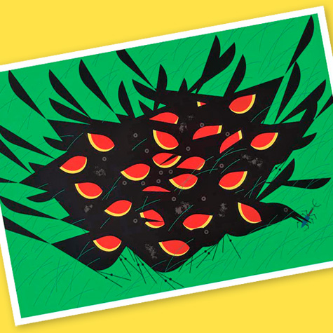 The Fat Finch Boutique for Bird Lovers | Charley Harper Cards 